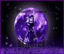 Moonlight Dreams