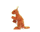 Kangaroo