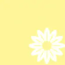 yellow flower