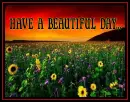 Have a Beautiful Day