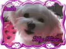 Dog-Smile Hugs Denise