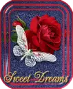 Sweet Dreams