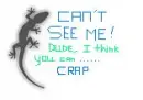 groovy geko