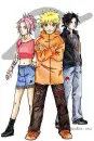 naruto,sasuke,sakura in the future