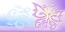 Purple butterfly