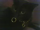 sophie