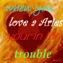 loving a aries