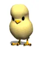 little Chick