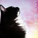 Have a Beautiful Day - Cat