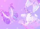 blinking butterflys
