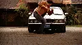 clark gets hit by car