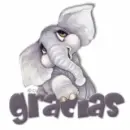 Elefante Gracias