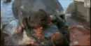 jaws