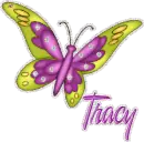 Tracy