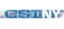 csi:ny