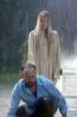 lady in the water