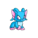 Blue Acara
