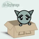 stray kitty