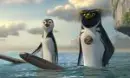 surfs up