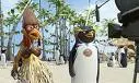 surfs up
