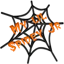 Spidey jr
