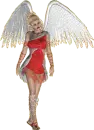 Glittering Rainbow Fairy