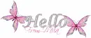 hello butterflies