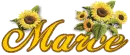 Marce... sunflowers