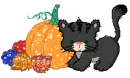 Pumpkin Kitty