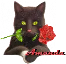 Amanda