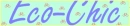 eco-chic banner