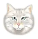 animated cat