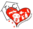 animated logo