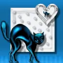 Black Kitty