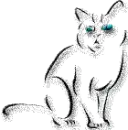 Kitty