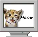 meow