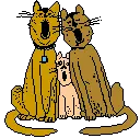 cats