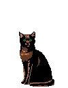 meow