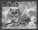 hello
