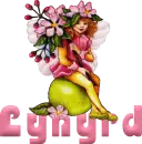 Lynyrd - apple fae