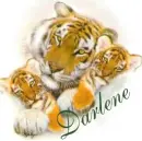 Tiger and Cubs - Darlene