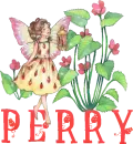 Perry - ladybug fae