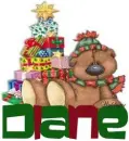 Bear with presents - Diane