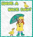 Nice rainy day!