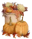 AUTUMN/FALL PUMPKINS AND CROCKERY