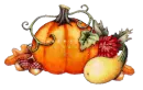 AUTUMN/FALL PUMPKIN AND SQUASH