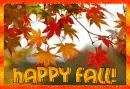 Happy Fall!
