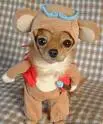 Dog dressed up as teddy bear