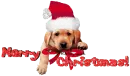 Merry Christmas!