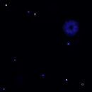 starry glittery background